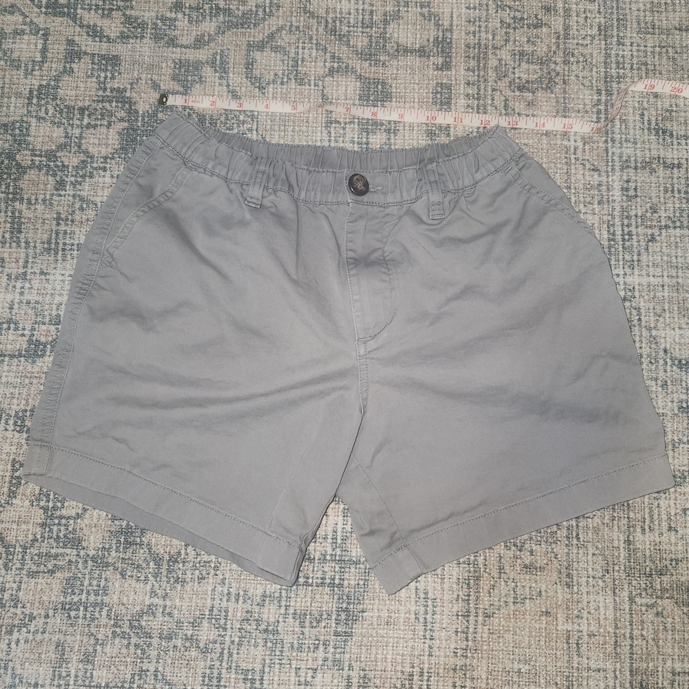Chubbies Men's Gray Shorts